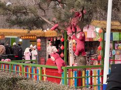 -青龙湖公园