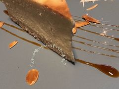 -安琳acKONA咖啡(市南店)