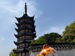 -观潮胜地公园