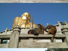 -苏州上方山国家森林公园