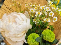 -双季花艺园艺市场(浦东店)
