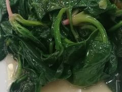 清炒菠菜-农家小院(朱雀桥店)