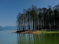 -四明湖