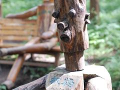 -黄海国家森林公园