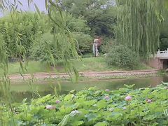-皇家御河游(紫御湾码头)