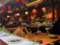 -望京一号·重庆江湖菜(工体店)