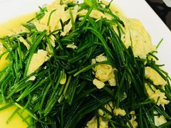 -范记靖远羊羔肉(博物馆店)