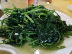 蒜蓉地瓜葉-龙溪海鲜酒家(溪涌店)