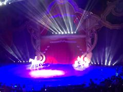 -珠海横琴长隆《卡卡虎奇遇记》