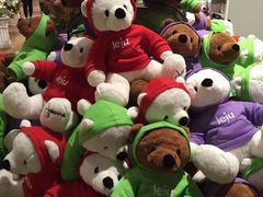 -济州岛泰迪熊博物馆