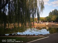 -黛秀湖公园