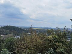 -上海佘山国家森林公园西佘山园