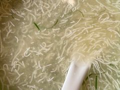 文思豆腐-冶春茶社(官园桥店)