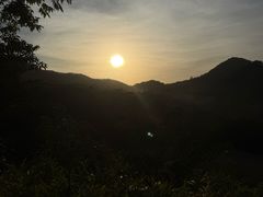 -黄埔油麻山森林公园