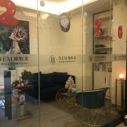 -DEM缔怡美科技美容