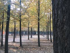 -汉景帝阳陵博物院