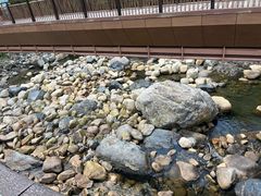 -石台牯牛降景区
