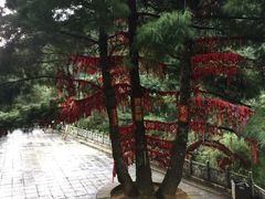 -苍山感通索道