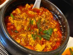 -陈麻婆豆腐总店