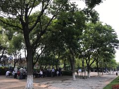 -圩墩遗址公园