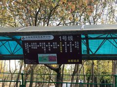 -上海海湾国家森林公园