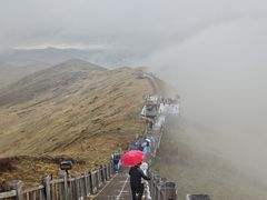 -黄河九曲第一湾