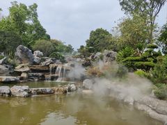 -东莞植物园