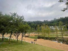 -梧桐山风景名胜区