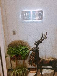 -AKOZO Beauty Salon