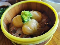 -潮福汇
