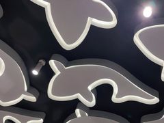 -阿五黄河大鲤鱼(海尚店)