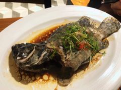 清蒸石斑鱼-泰华海鲜中餐厅(普吉镇店)