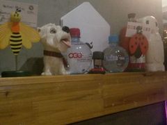 android_upload_pic-新沙洞咖啡(泉乐坊店)