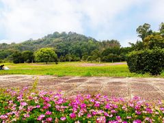 -福建鲤鱼洲酒店