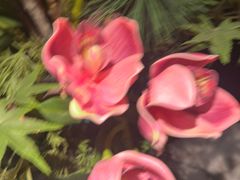 -南堂馆·新川菜(春熙路店)