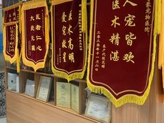 -可蒙动物医院·猫科·骨科中心(首义路店)