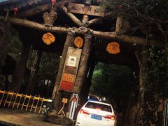 -天门沟九州驿站树上汤泉