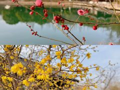 -尚湖风景区