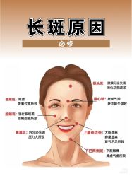 -玛莲朵·海菲秀冰珀科