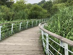 -西湖风景区-江洋畈生态公园