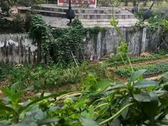 -广州世界大观