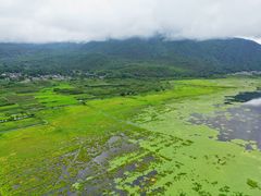 -腾冲北海湿地