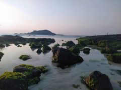 -涉地可支