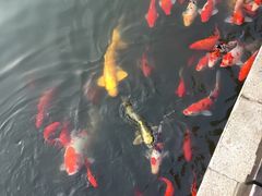 -天目湖涵田半山温泉