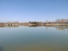 -东郊湿地公园