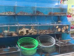 -宾朋海鲜饭庄(兴海路店)