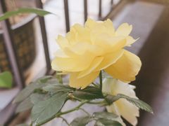 -衡地道·三菜一汤(水岸新城店)