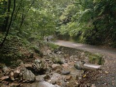 -本溪汤沟绿石谷森林公园
