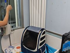 -纳吉亚猫专科动物诊疗中心(蒋宅口分院)