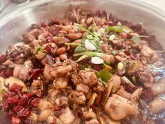 -食神又名厕所兔